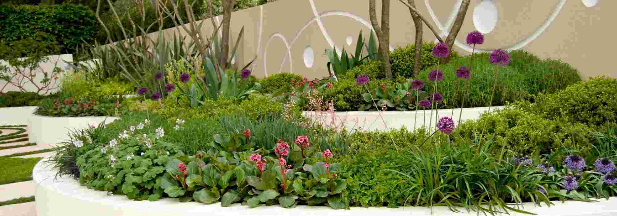 5 planting tips for a graphic and modern garden