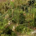 Designing a cottage garden: the main principles