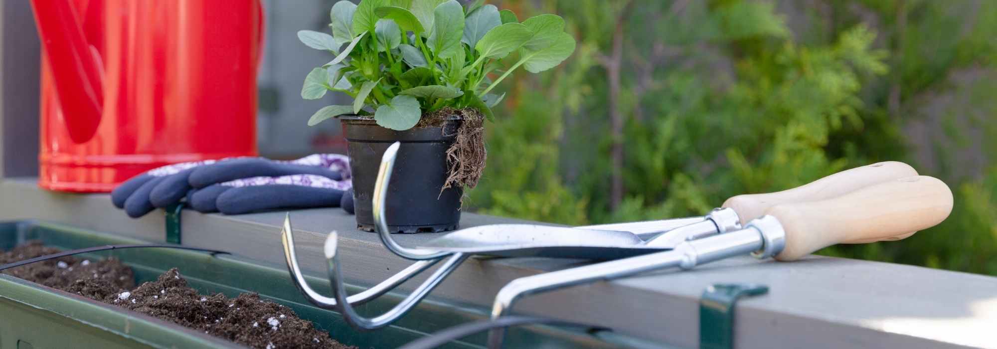 Essential equipment for gardening on your balcony