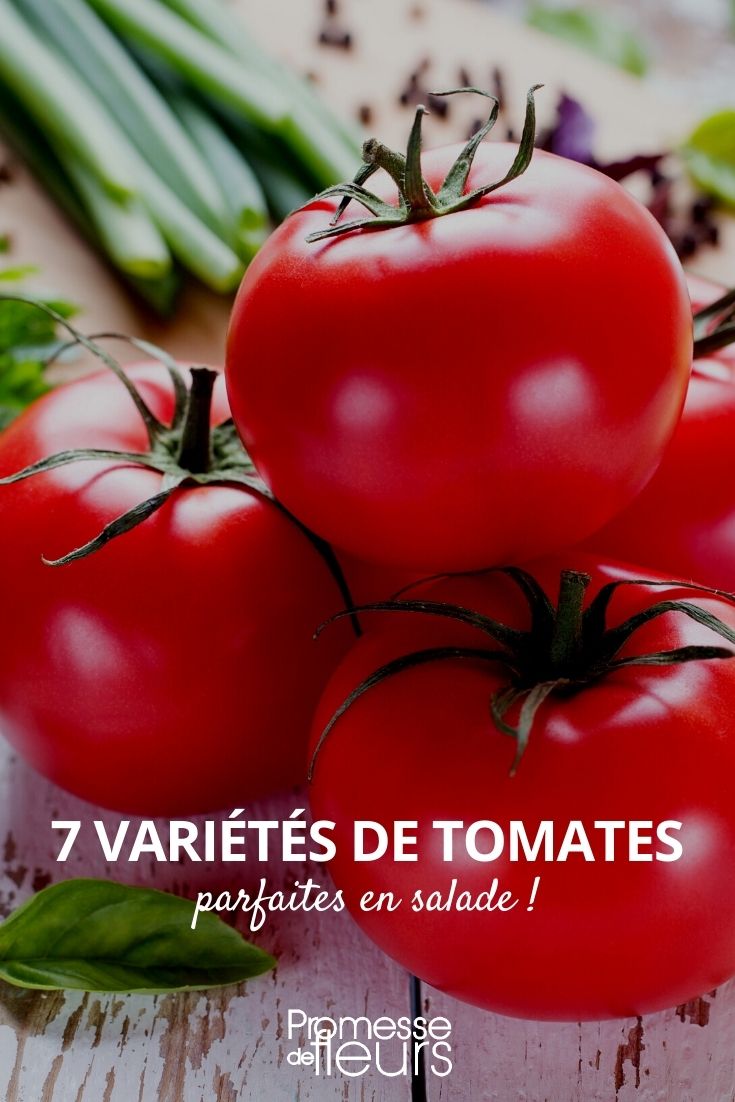 7 Tomatoes for Salad