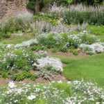 9 landscape designer tips to create a white garden