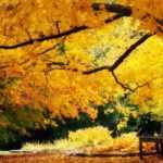 Create a beautiful autumn garden