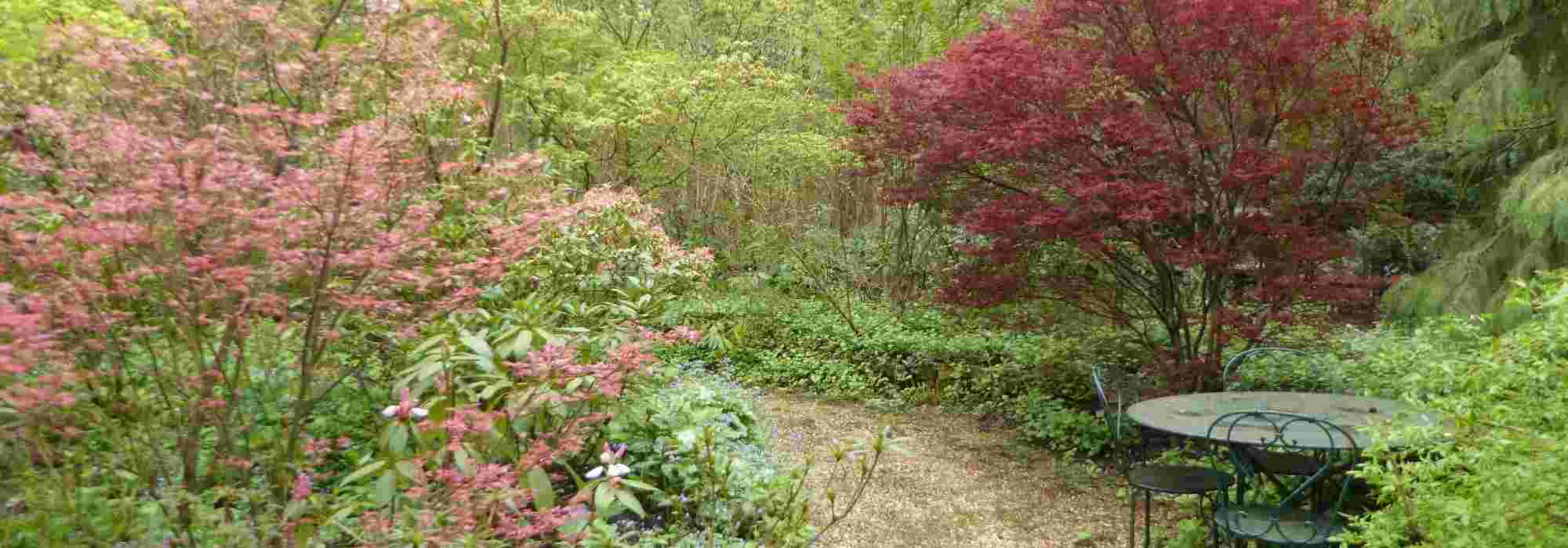 7 shrubs to line a path