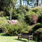 What to plant in an already full garden?