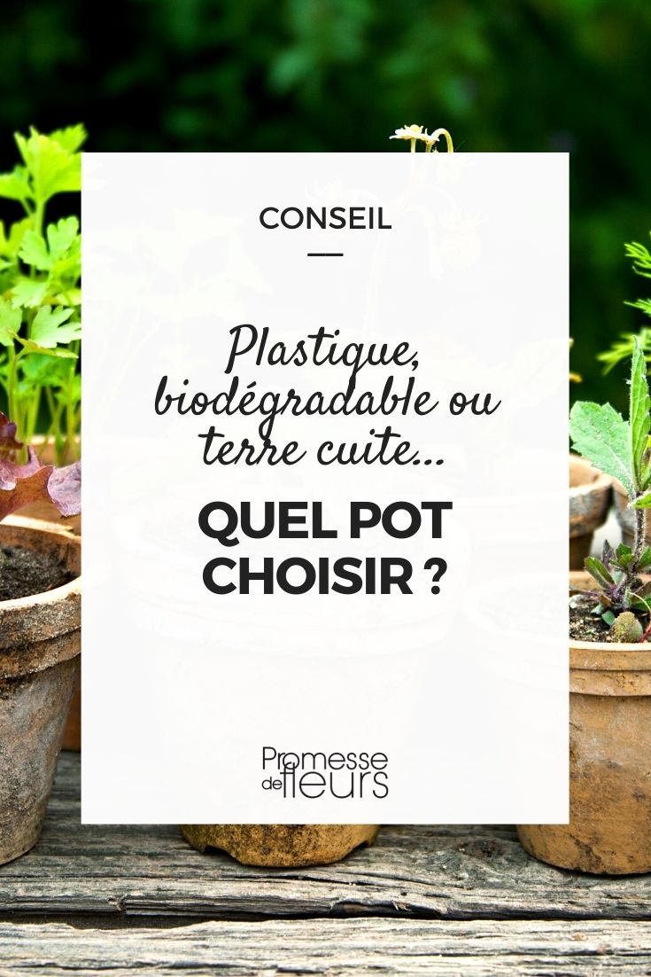 What Type of Pot to Choose