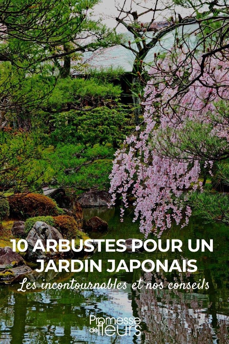 10 Bushes for a Japanese Garden