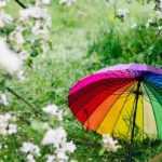 Microclimates in the garden