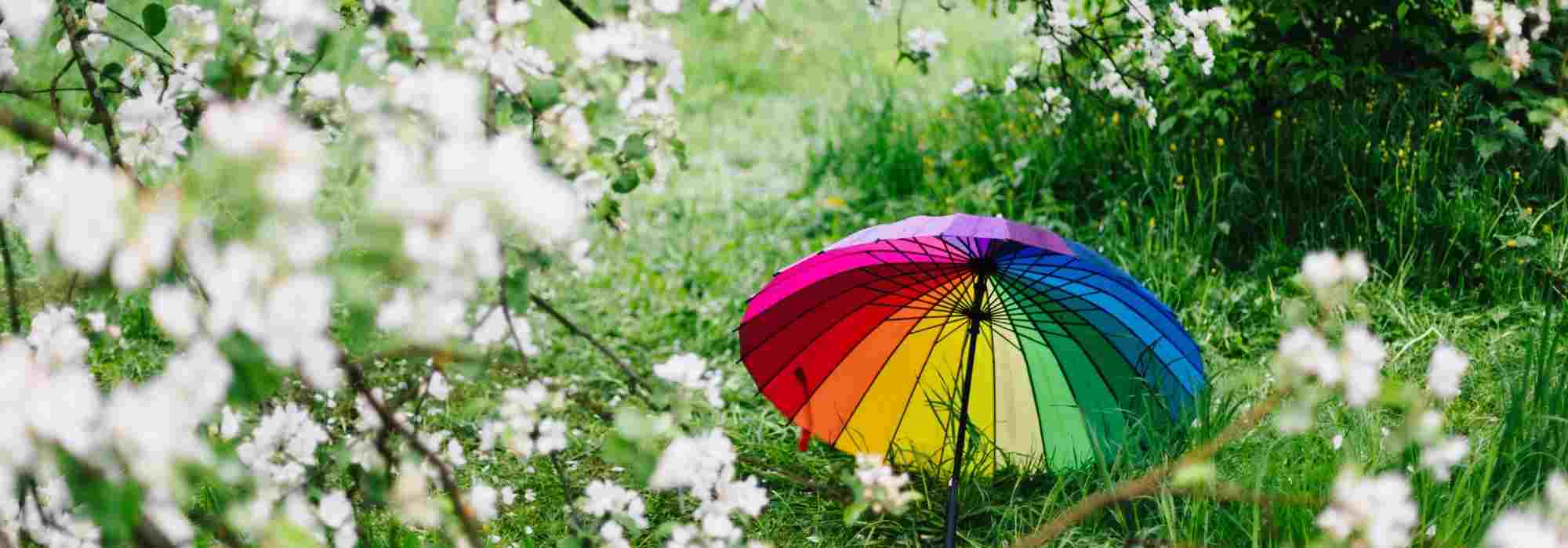 Microclimates in the garden