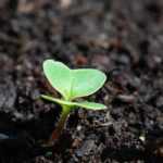 How to make a hot bed?