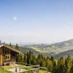 Mountain gardening: how to gorw a vegetable garden?