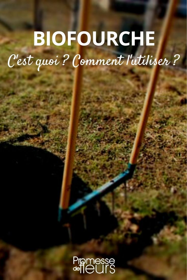 organic fork or aerofork