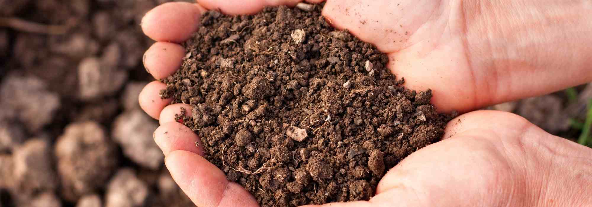 How can I make my soil more free-draining?