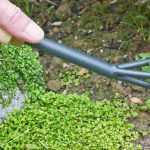 What is a griffe or a croc used for?