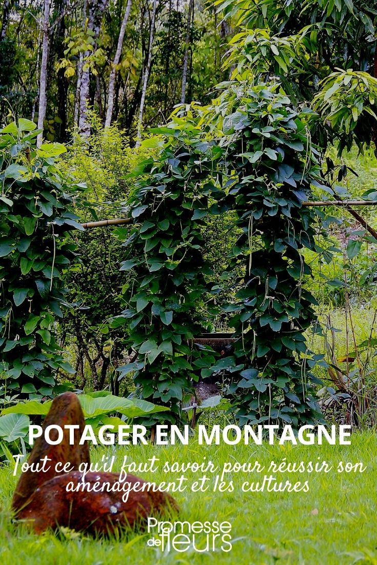 Mountain Permaculture
