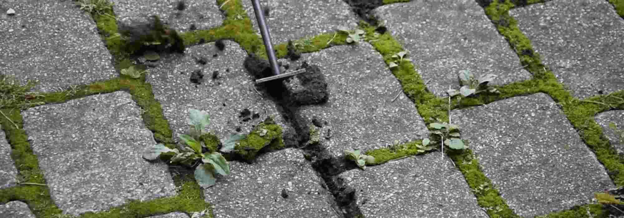 What is a scraper used for?