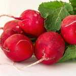 How to choose your radishes?