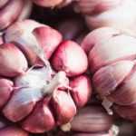Choosing garlic: buyer's guide