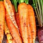 How to choose carrots?: buyer's guide