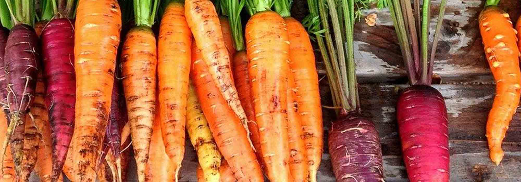 How to choose carrots?: buyer's guide