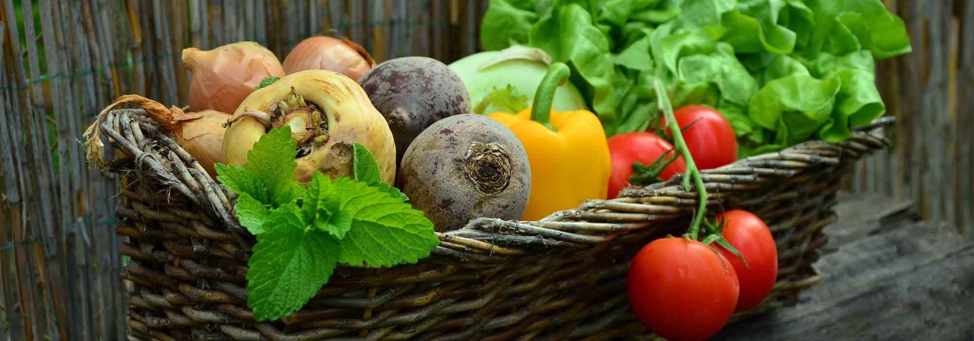 Vegetable garden: How to plan and spread out your harvests?