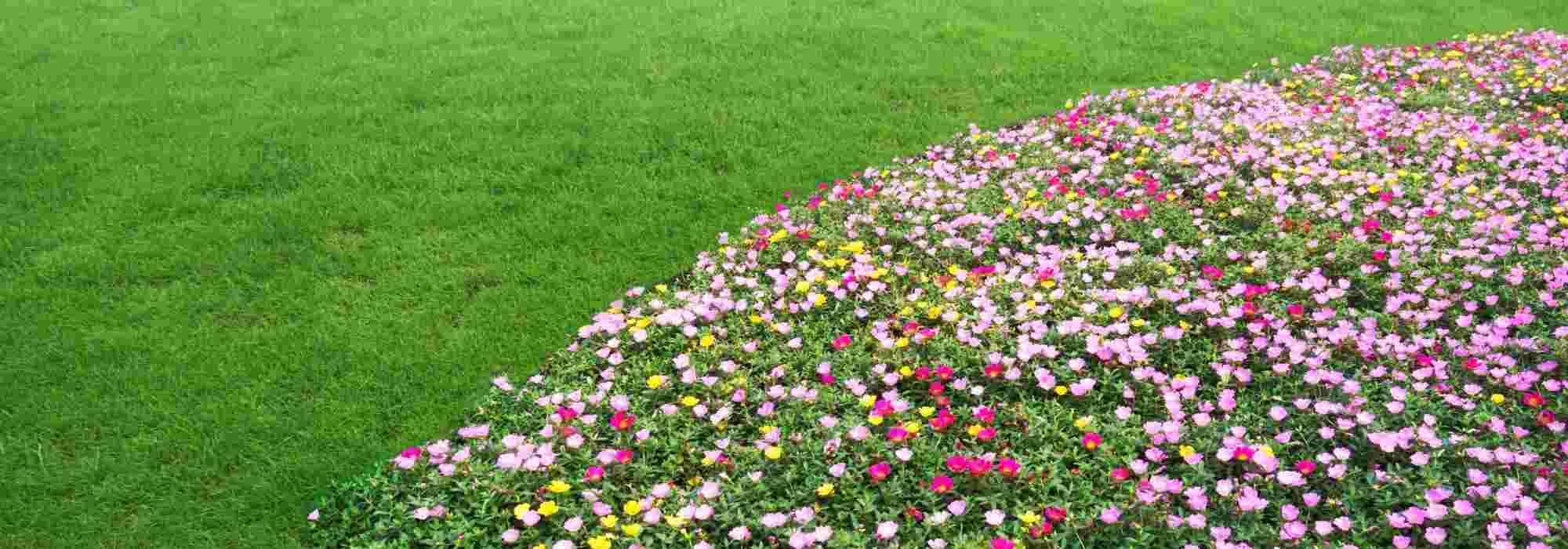 What is an edging tool used for?