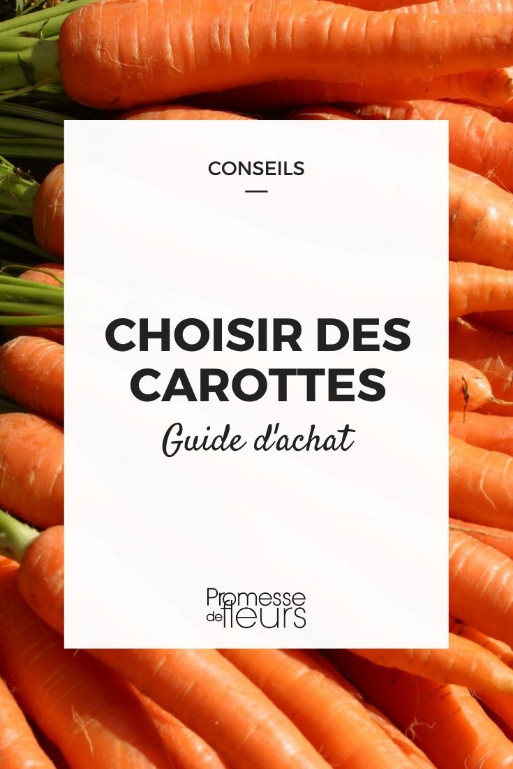 Choosing the Right Carrots