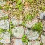 What is a blunting knife used for?