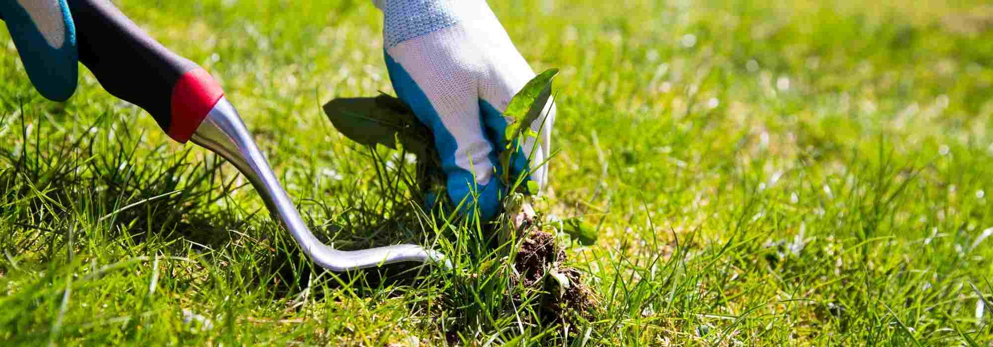 What is a weeding knife used for?