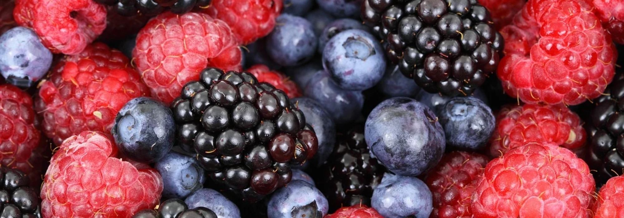 5 red berries for beginners