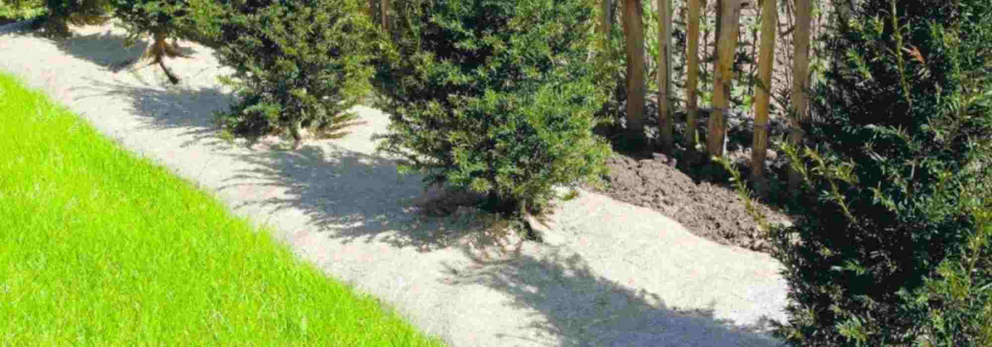 Flax, hemp, jute, wool… what are these new biodegradable mulching fabrics?