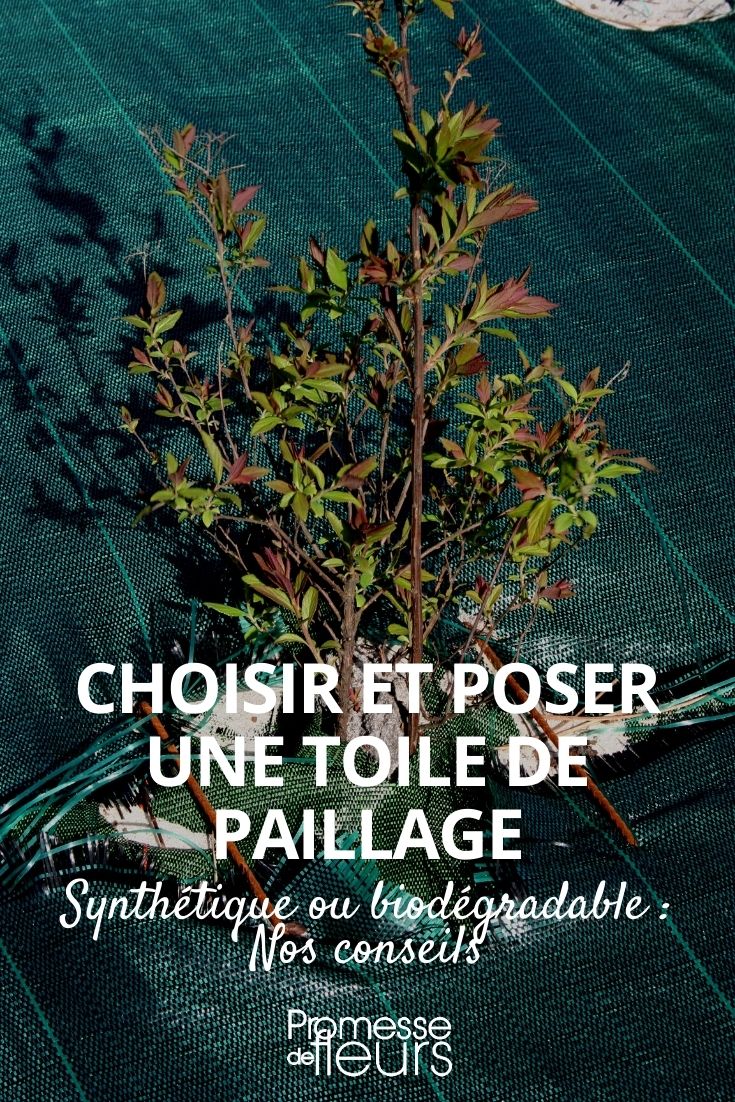 Laying a Mulch Fabric