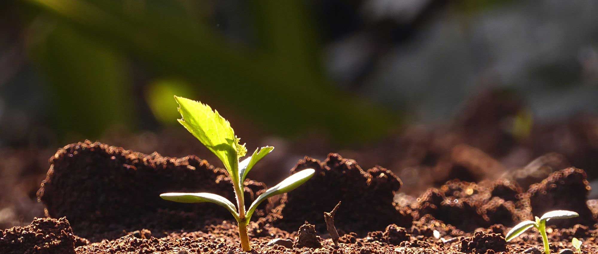 What is stratification?