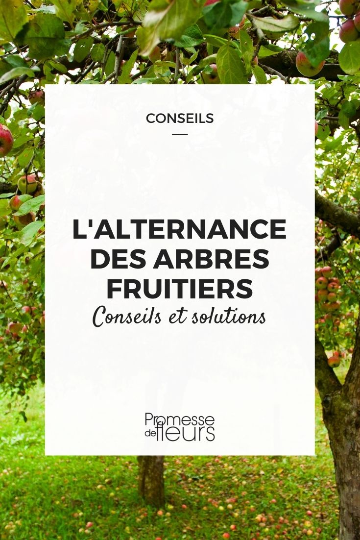 The Alternation of Fruit Trees