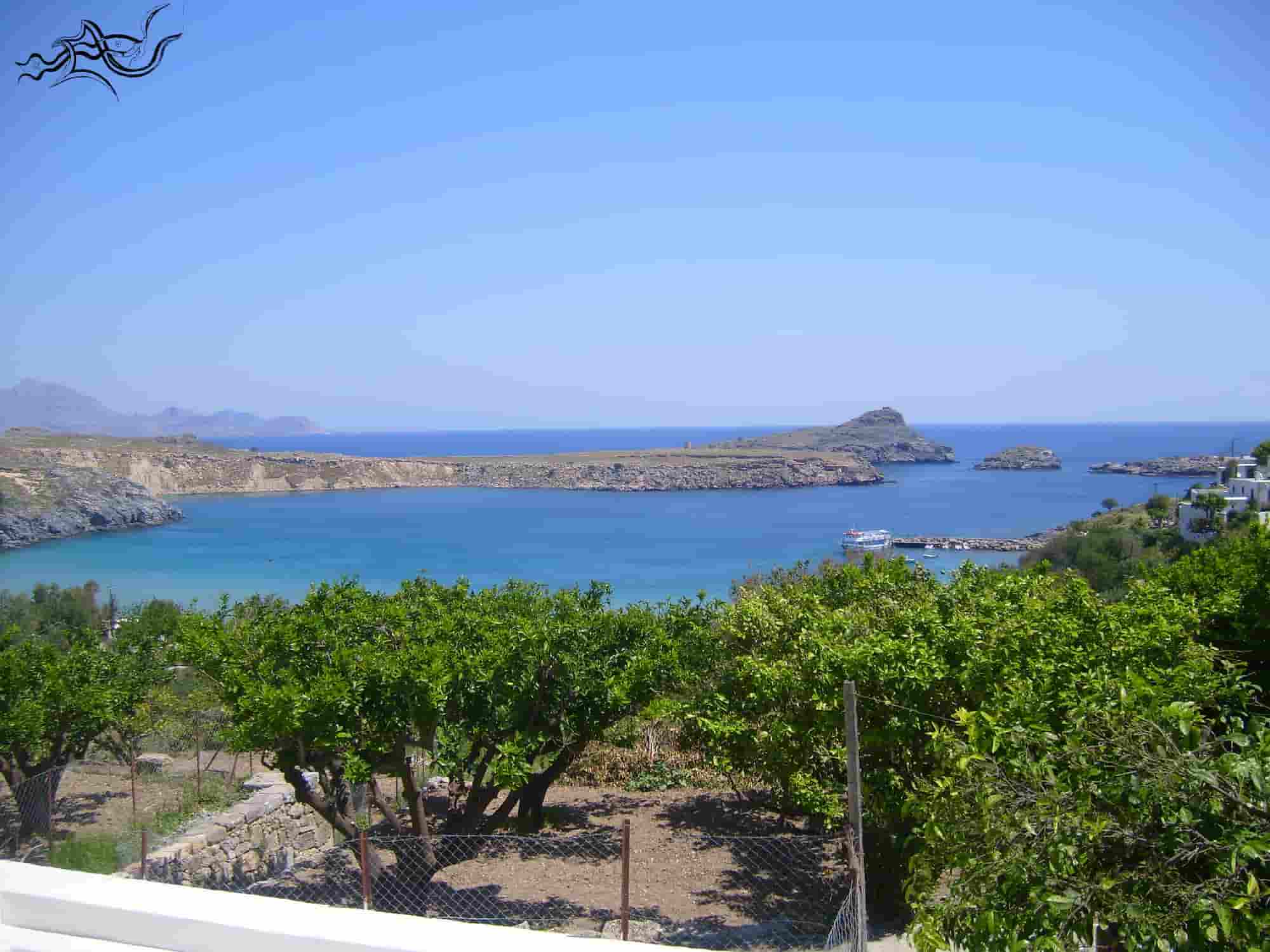 Creating a vegetable garden by the sea