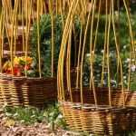 How to make a wicker plant support?