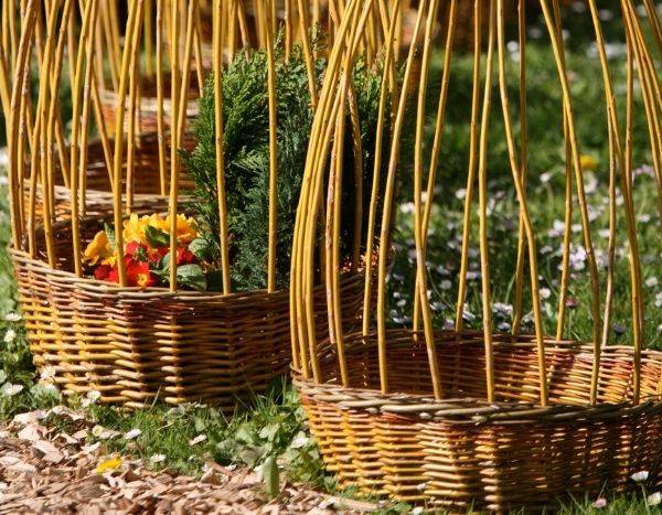 How to make a wicker plant support?