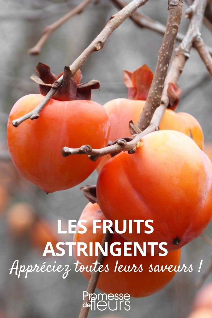 astringent fruits