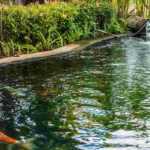 Installing a preformed pond