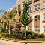 Condominium and apartment gardening: our guide