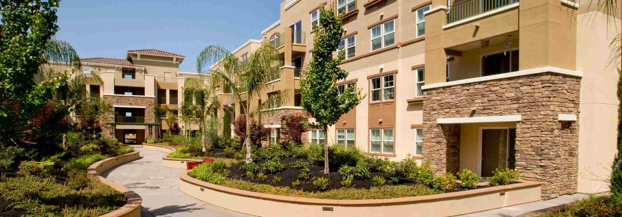 Condominium and apartment gardening: our guide