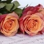 Roses named after musicians or composers