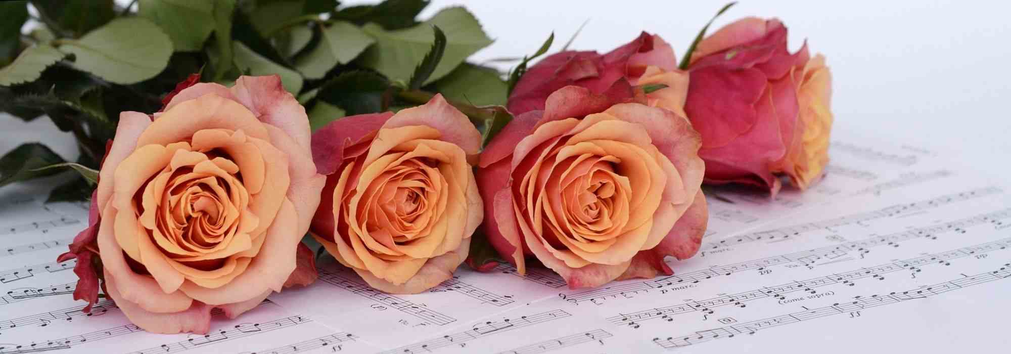 Roses named after musicians or composers