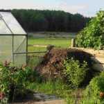 How to preserve soil life in a greenhouse?