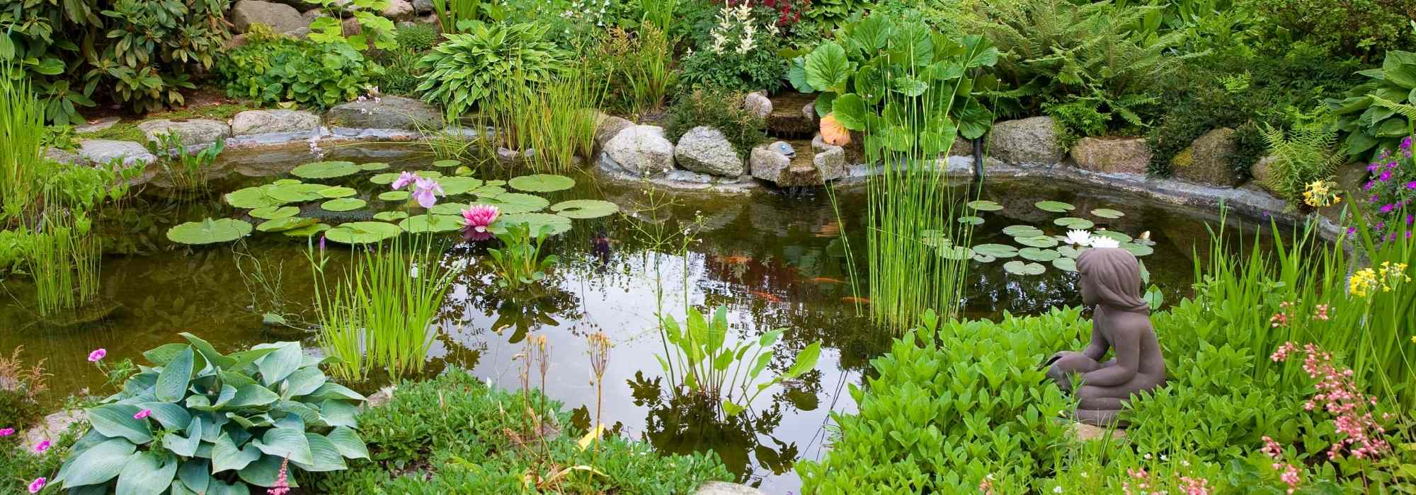 Mistakes to avoid when installing a garden pond