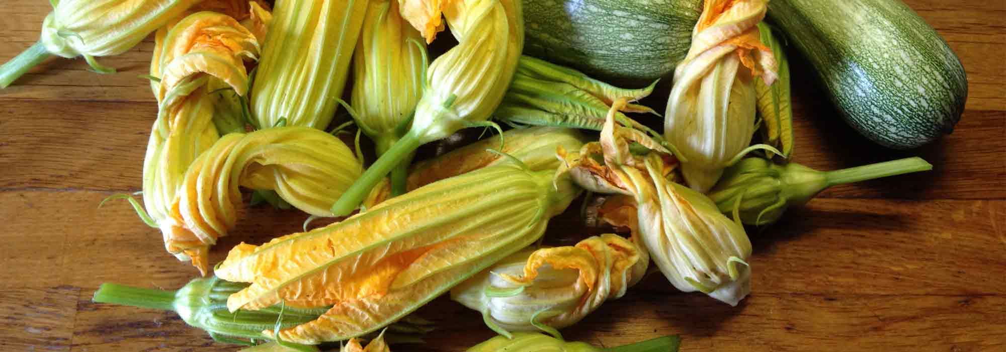 Courgette flower fritters : harvest to recipe