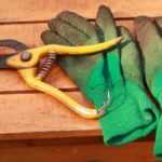 How to choose your gardening gloves?