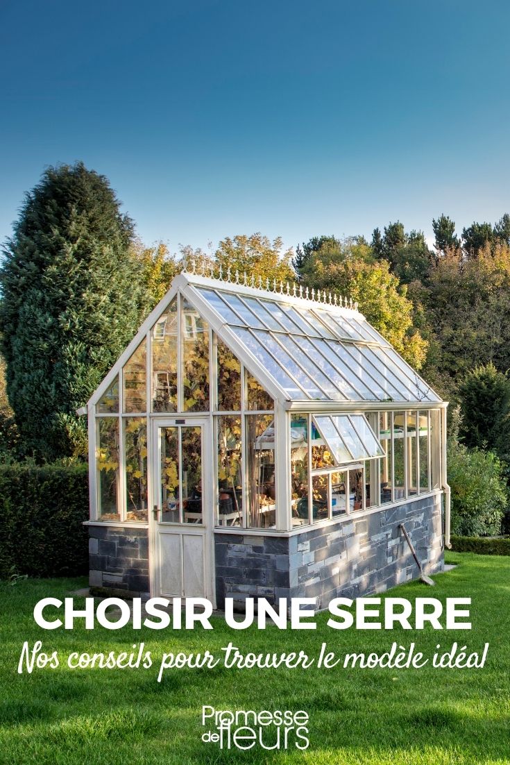 Greenhouse: Buying Guide