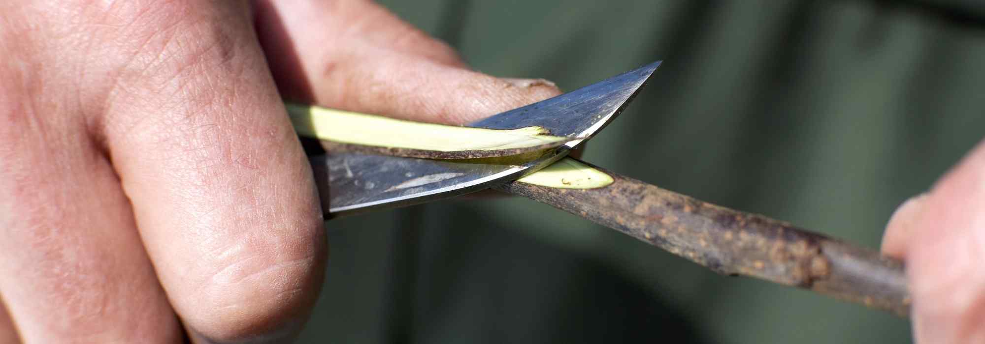 What is a grafting knife used for?