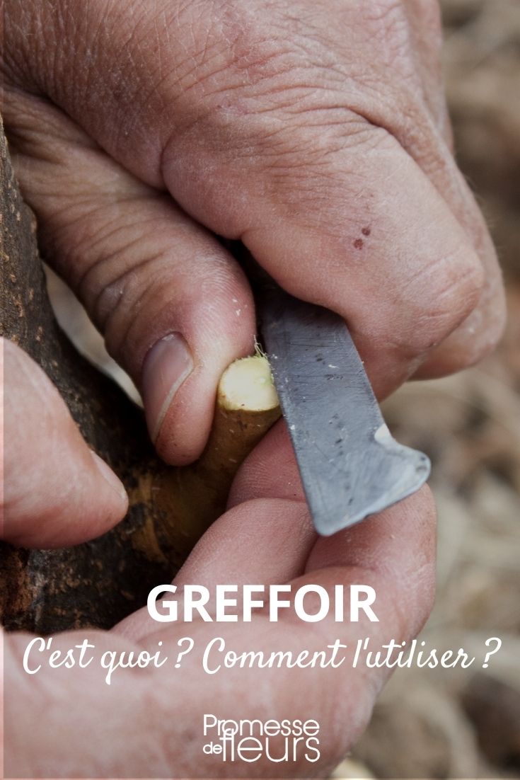 grafting knife