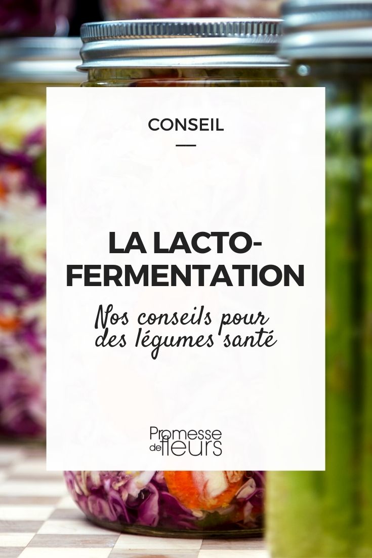 Lacto-Fermentation of Garden Vegetables